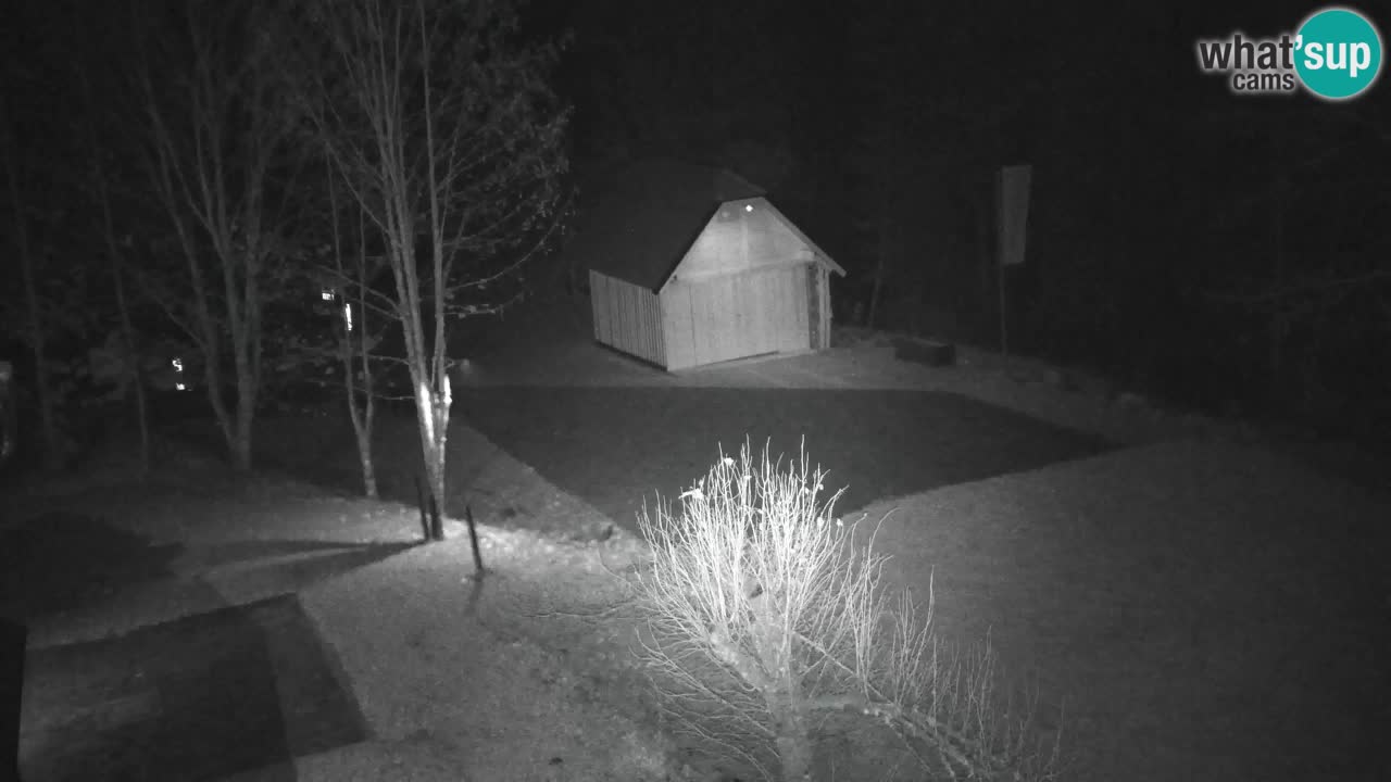 Spletna kamera Lukanja – Water Village | Pohorje Houses