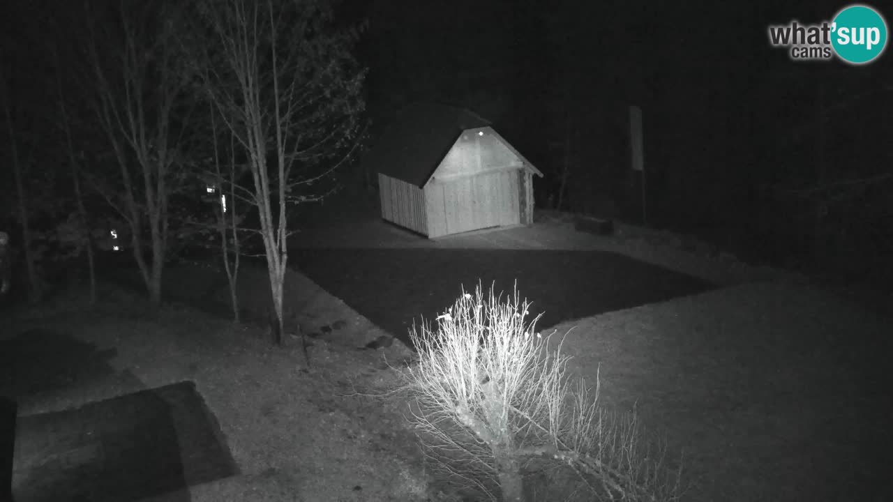 Web kamera Lukanja – Water Village | Pohorje Houses