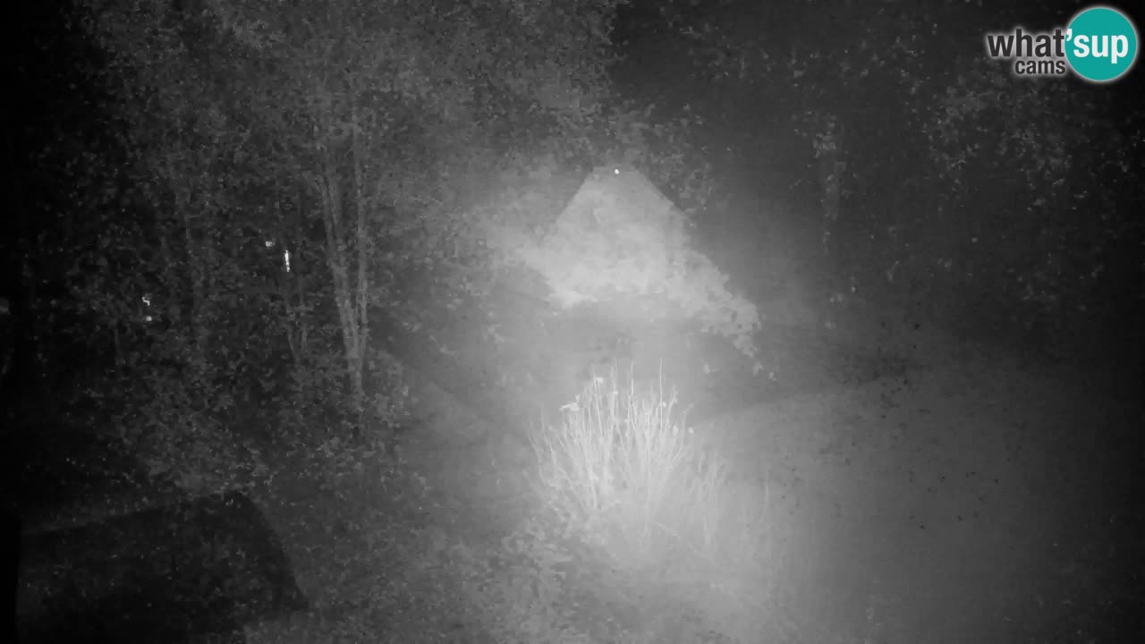 Webcam Lukanja – Water Village | Pohorje Houses