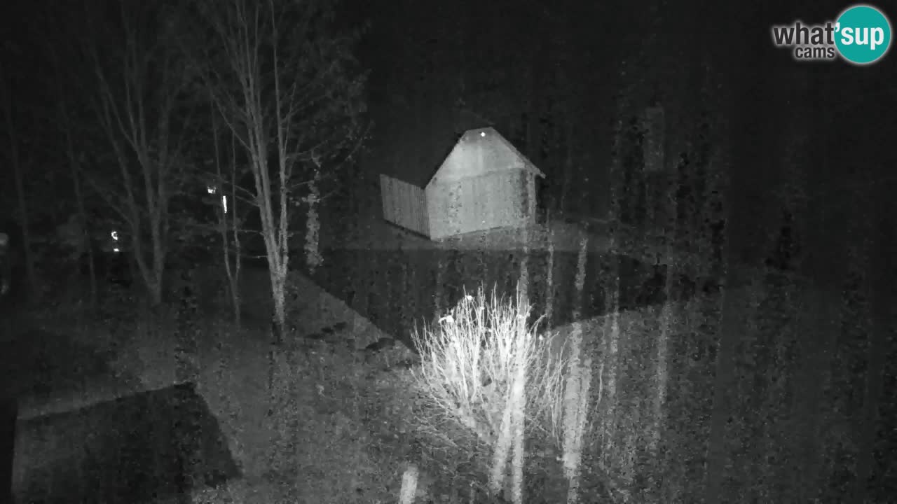 Web kamera Lukanja – Water Village | Pohorje Houses