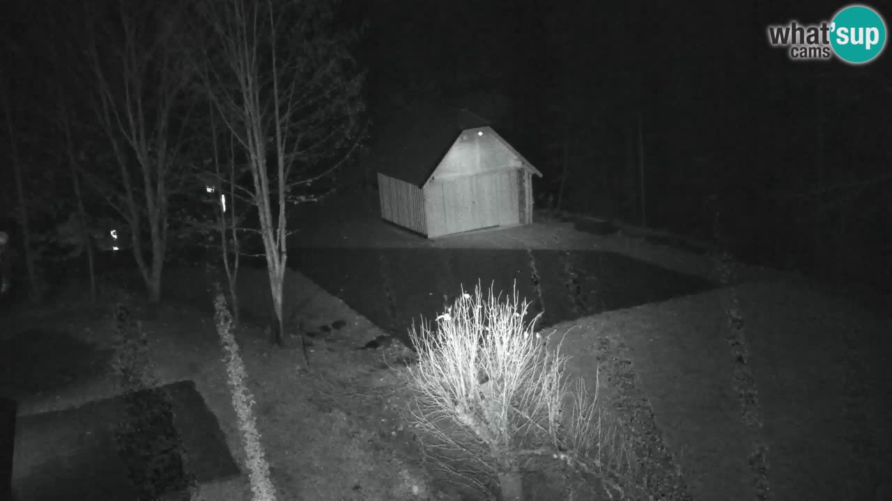 Webcam Lukanja – Water Village | Pohorje Houses