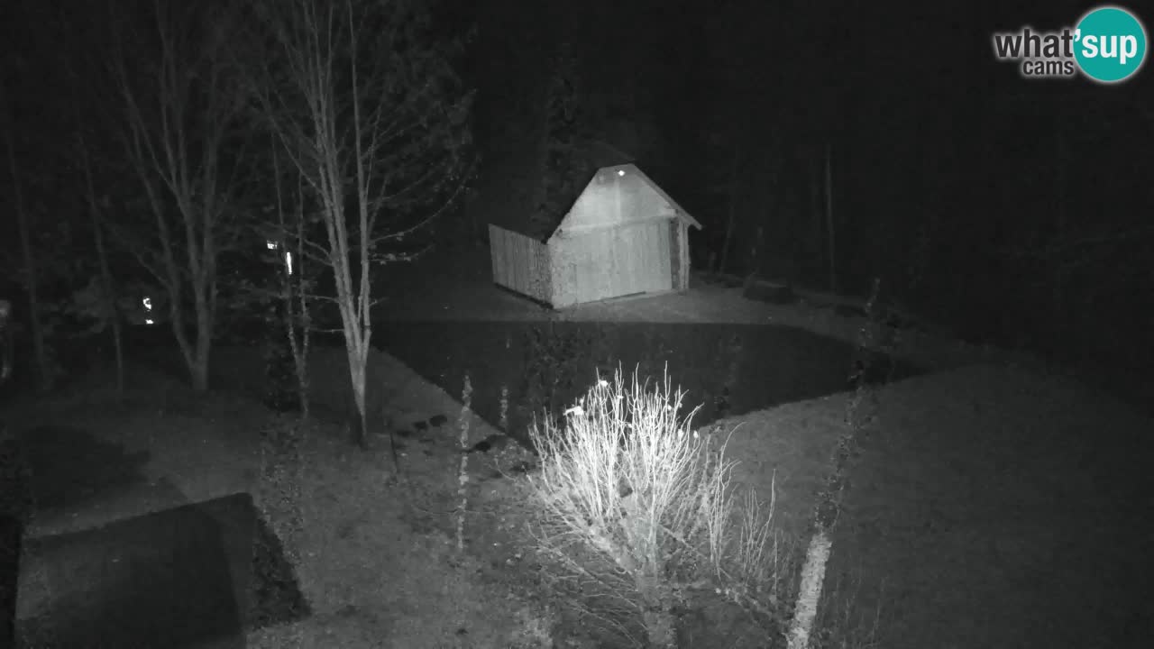 Webcam Lukanja – Water Village | Pohorje Houses