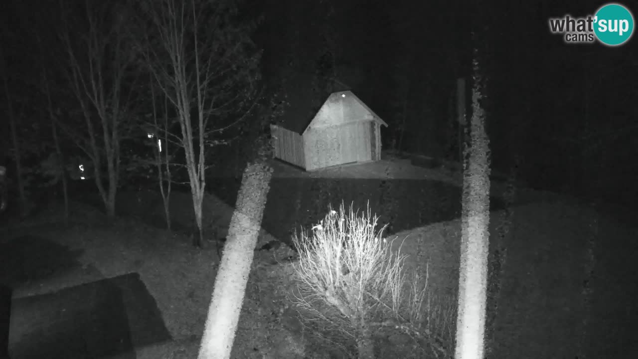 Webcam Lukanja – Water Village | Pohorje Houses