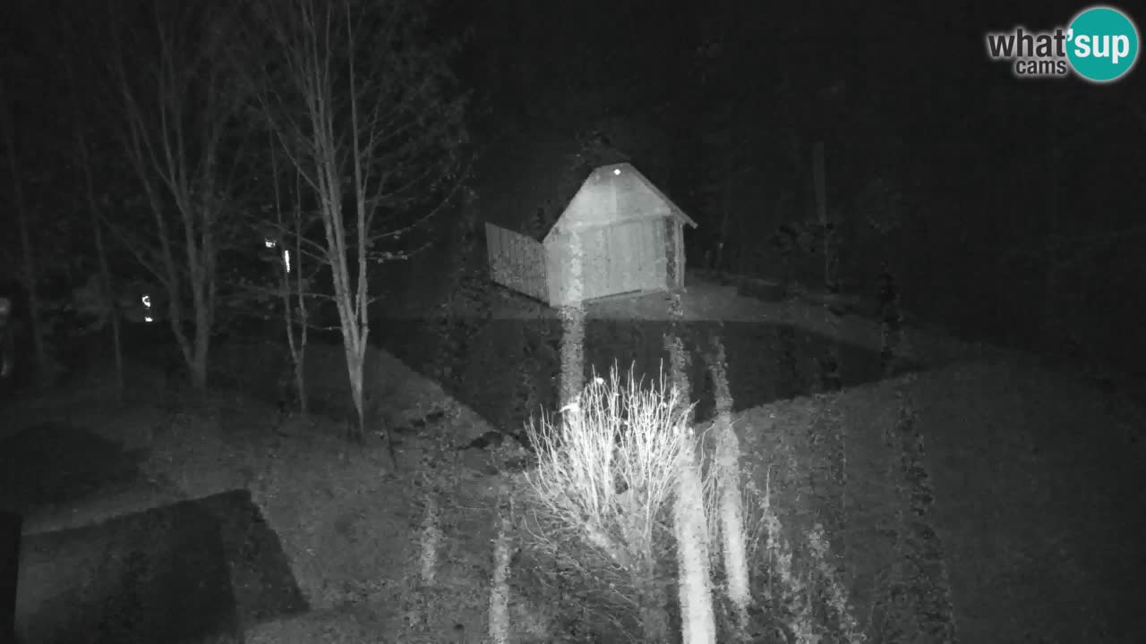 Webcam Lukanja – Pohorje houses a Water village