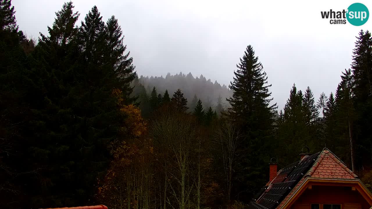 Webcam Lukanja – Pohorje houses a Water village