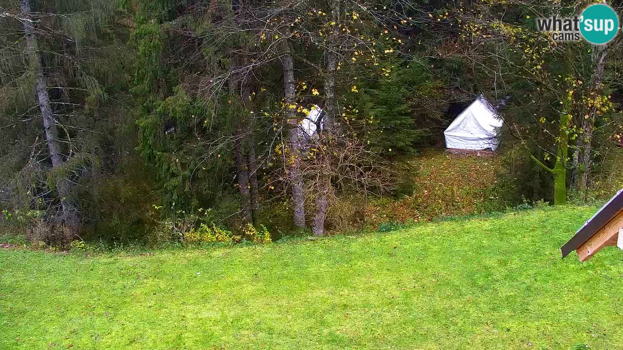 Webcam Lukanja – Water Village | Pohorje Houses