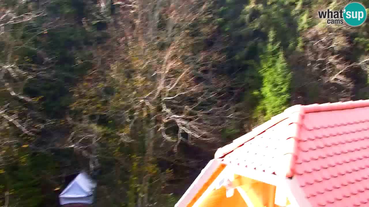 Webcam Lukanja – Pohorje houses a Water village