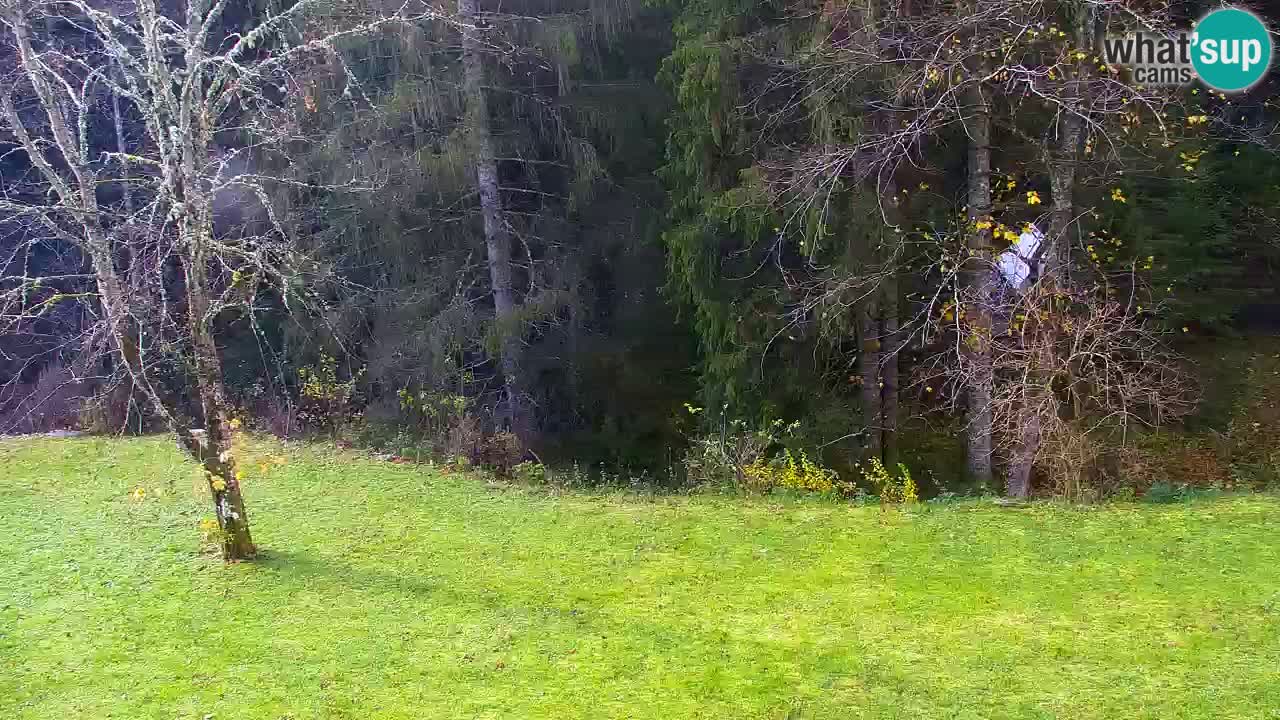 Webcam Lukanja – Water Village | Pohorje Houses