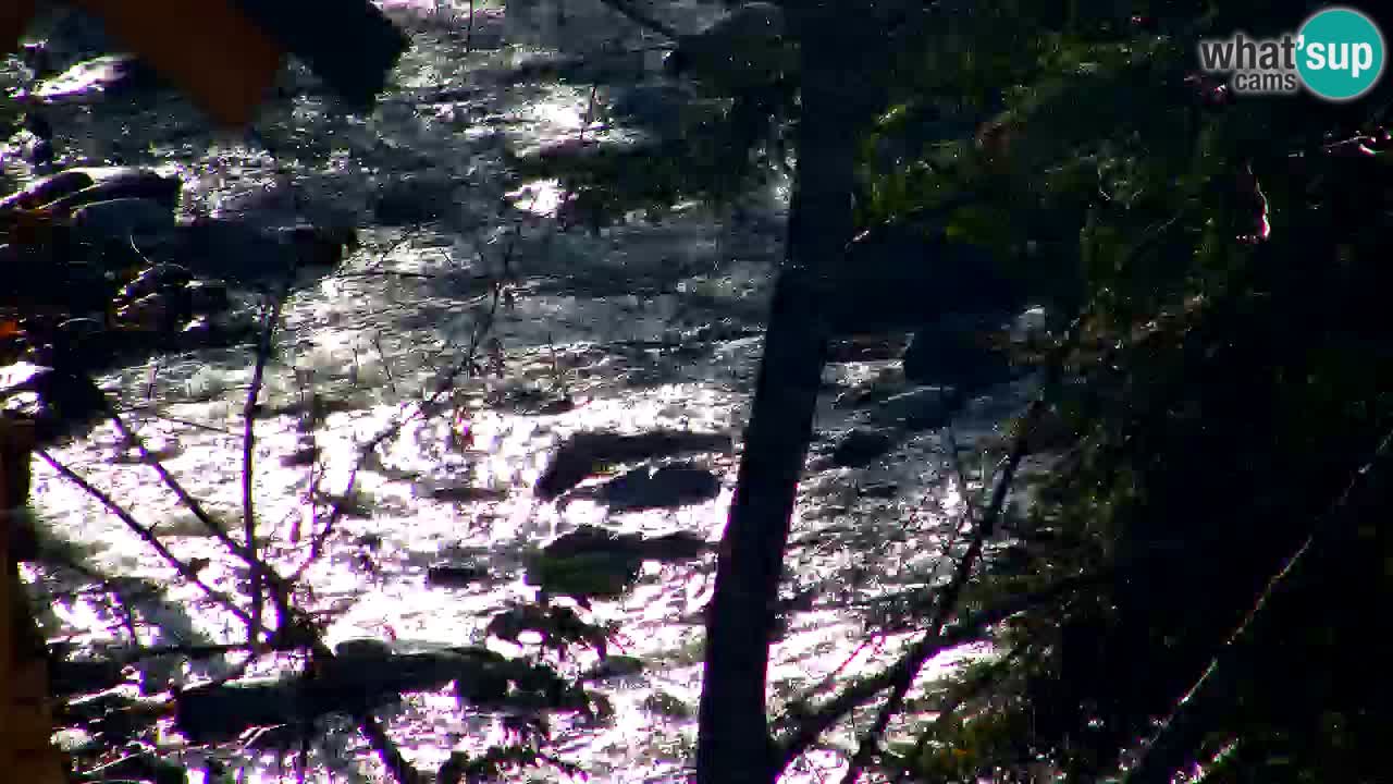 Webcam Lukanja – Water Village | Pohorje Houses