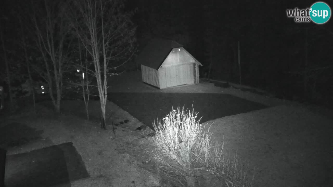 Webcam Lukanja – Water Village | Pohorje Houses