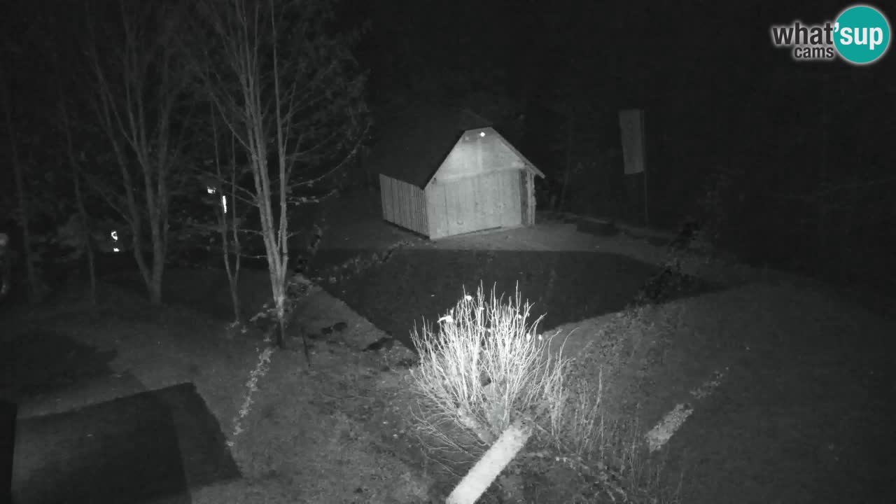 Webcam Lukanja – Water Village | Pohorje Houses