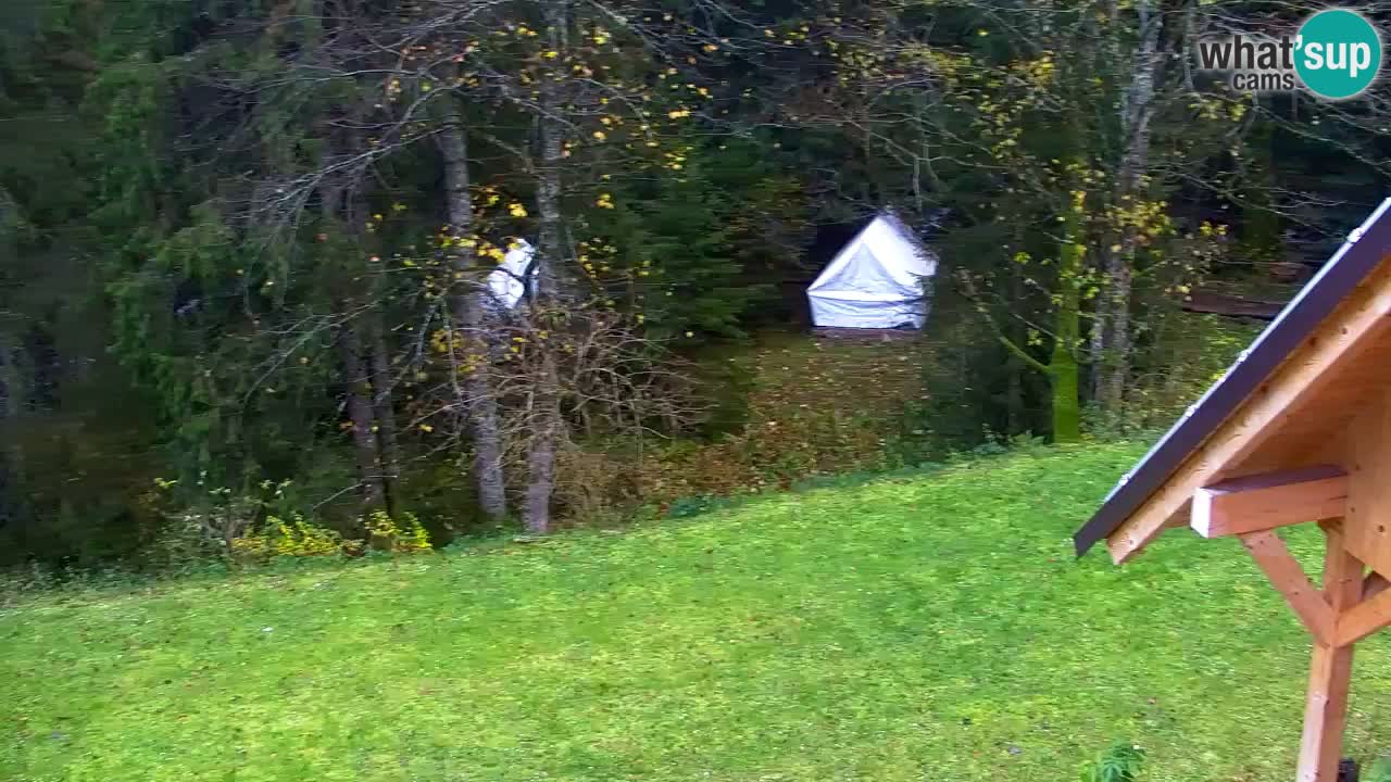Webcam Lukanja – Pohorje houses a Water village