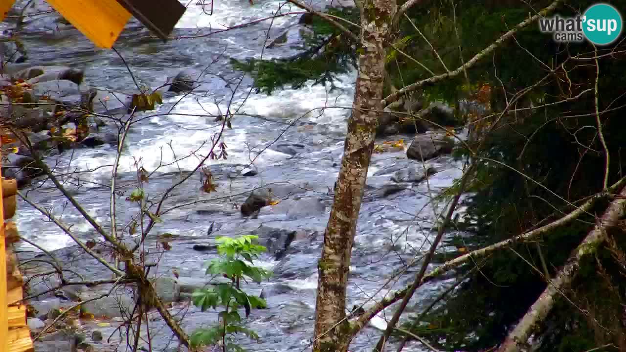 Webcam Lukanja – Water Village | Pohorje Houses