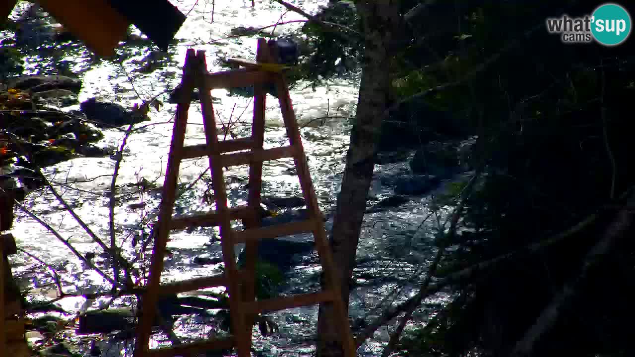 Webcam Lukanja – Water Village | Pohorje Houses