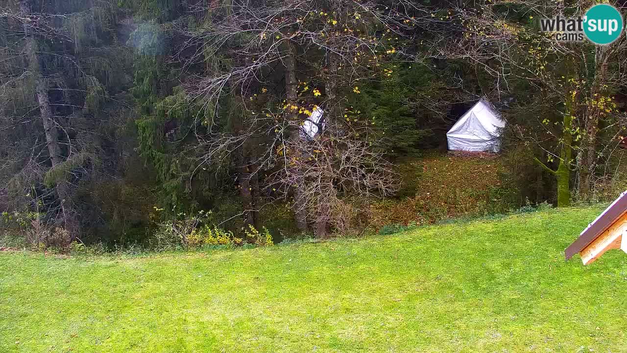 Webcam Lukanja – Water Village | Pohorje Houses