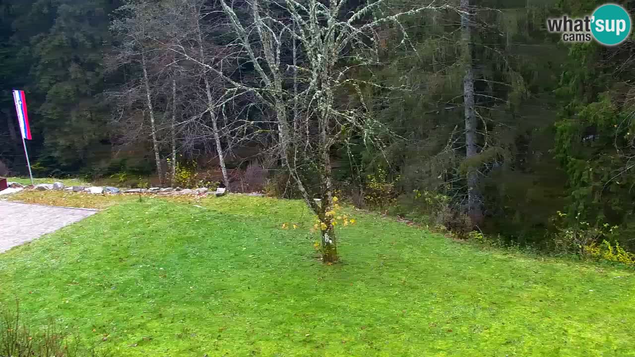 Webcam Lukanja – Water Village | Pohorje Houses