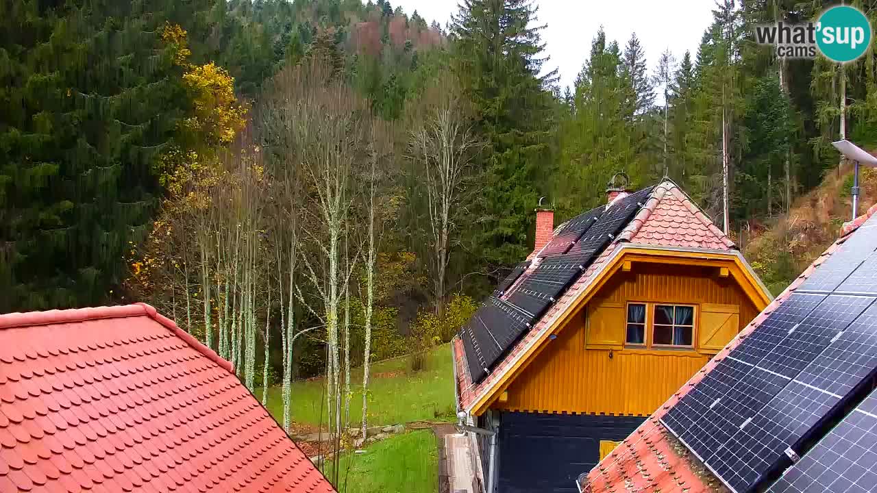Webcam Lukanja – Pohorje houses a Water village