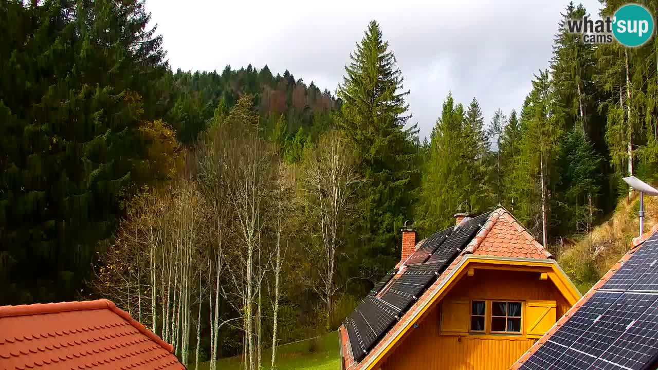 Web kamera Lukanja – Water Village | Pohorje Houses