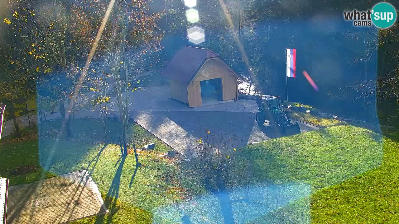 Webcam Lukanja – Water Village | Pohorje Houses