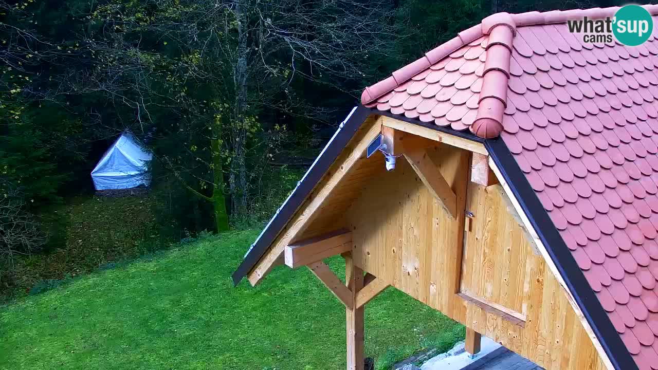 Webcam Lukanja – Water Village | Pohorje Houses