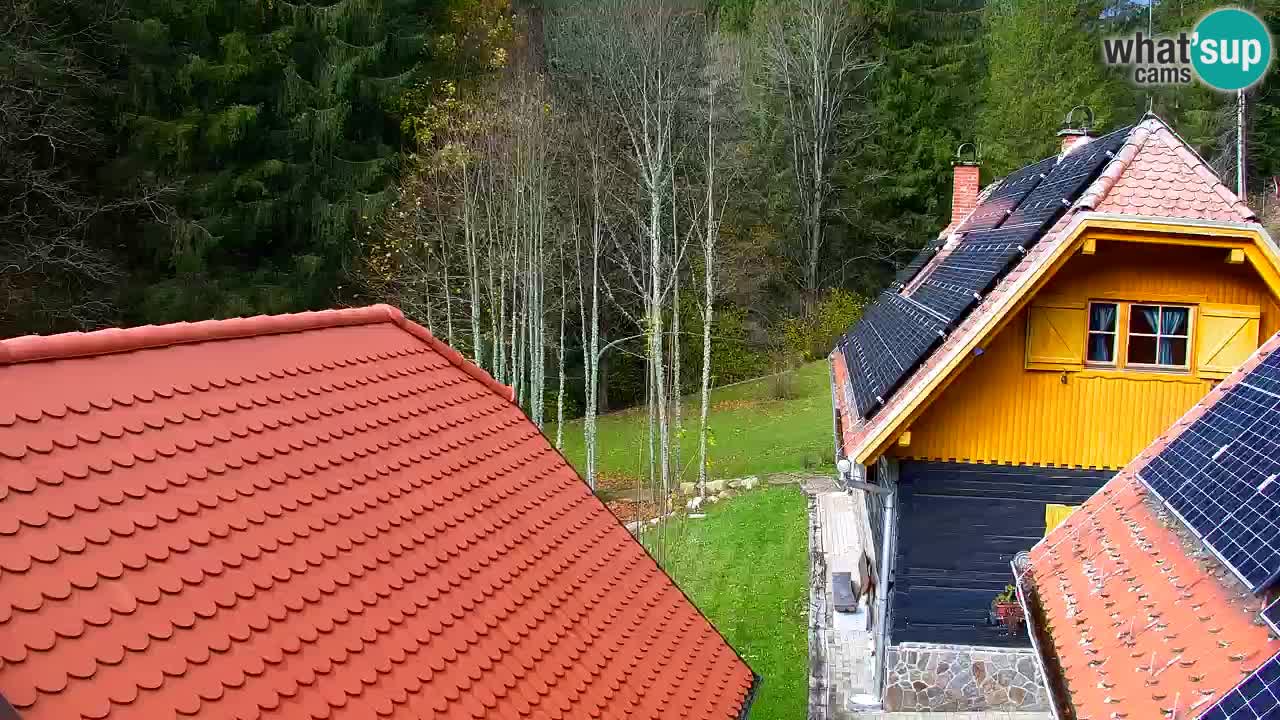 Webcam Lukanja – Pohorje houses a Water village