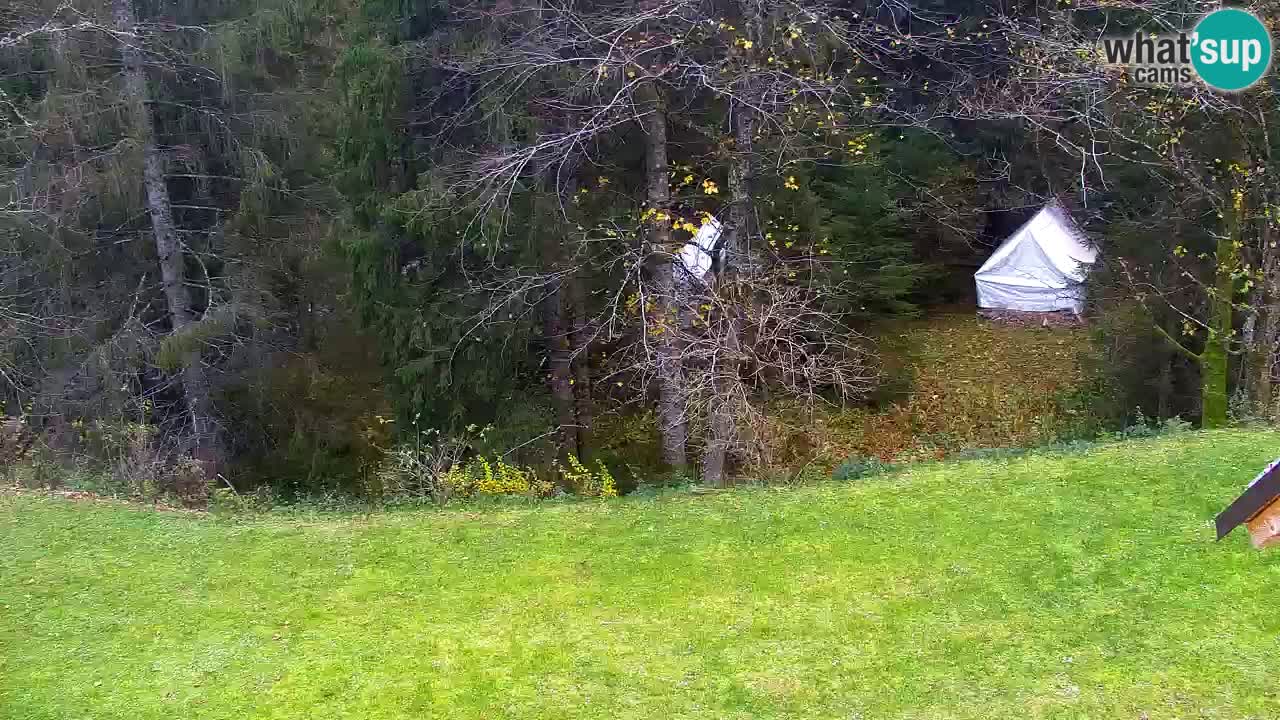 Webcam Lukanja – Pohorje houses a Water village