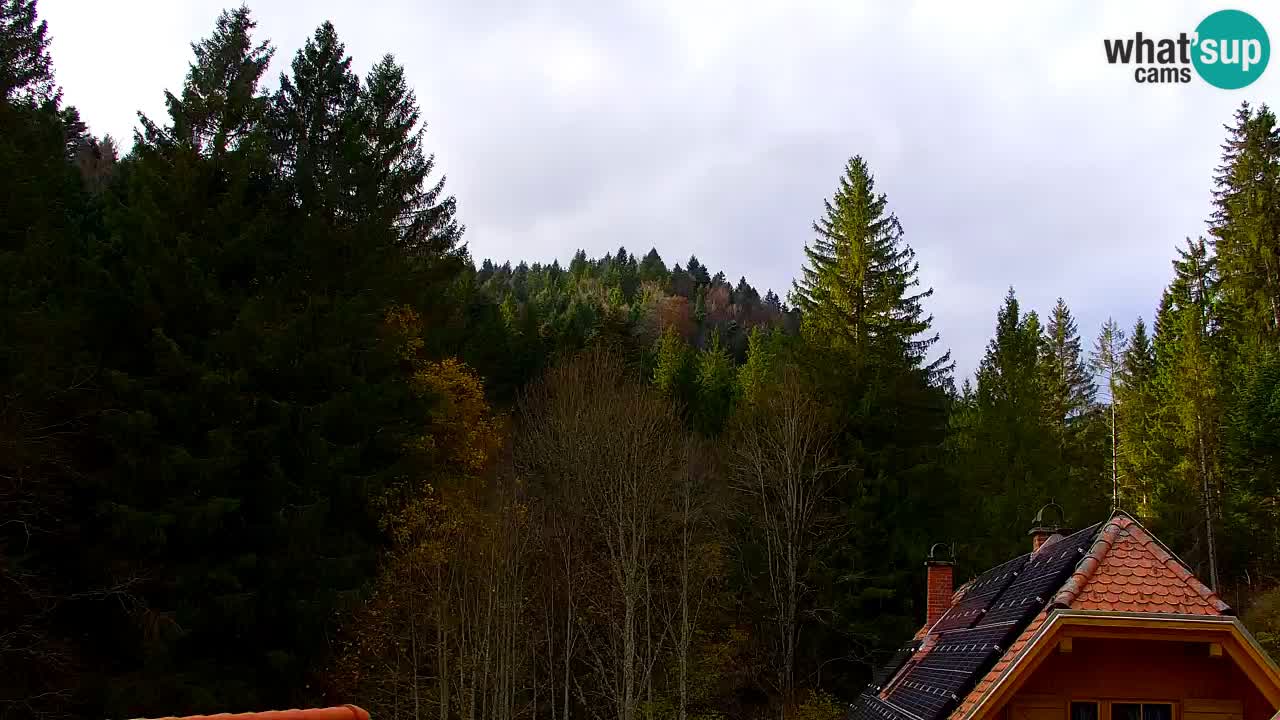 Webcam Lukanja – Pohorje houses a Water village
