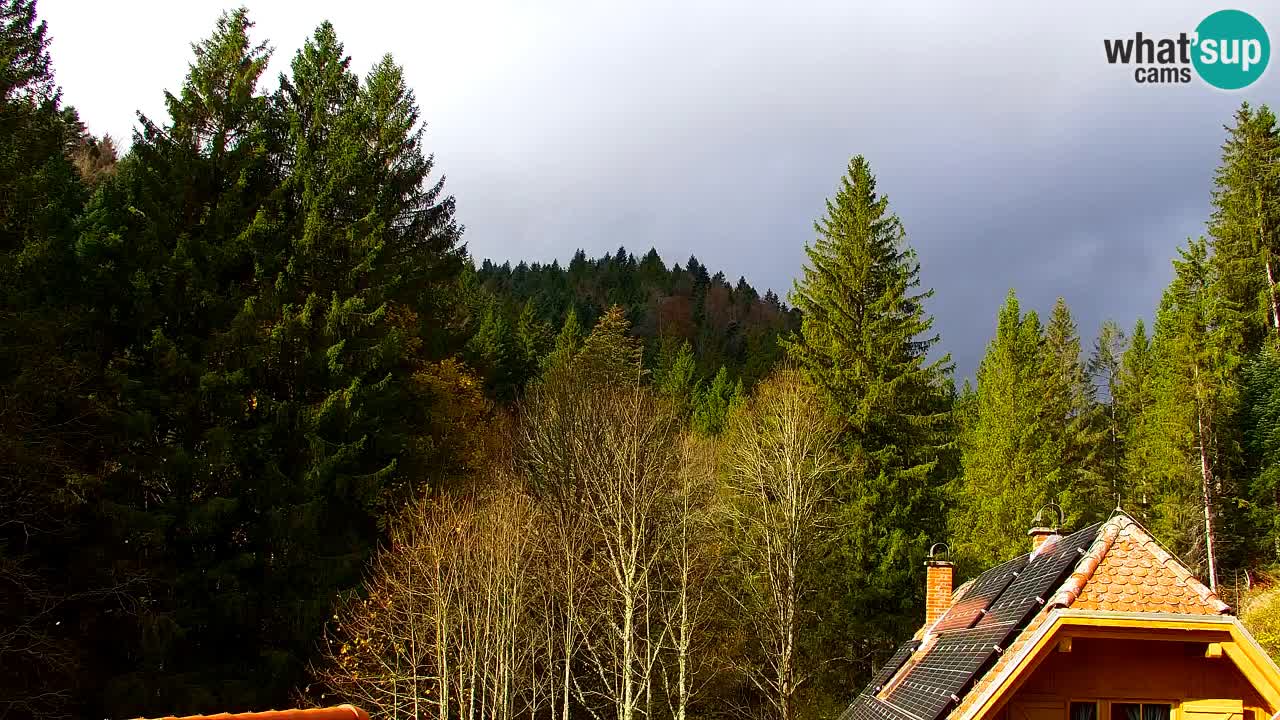 Webcam Lukanja – Water Village | Pohorje Houses