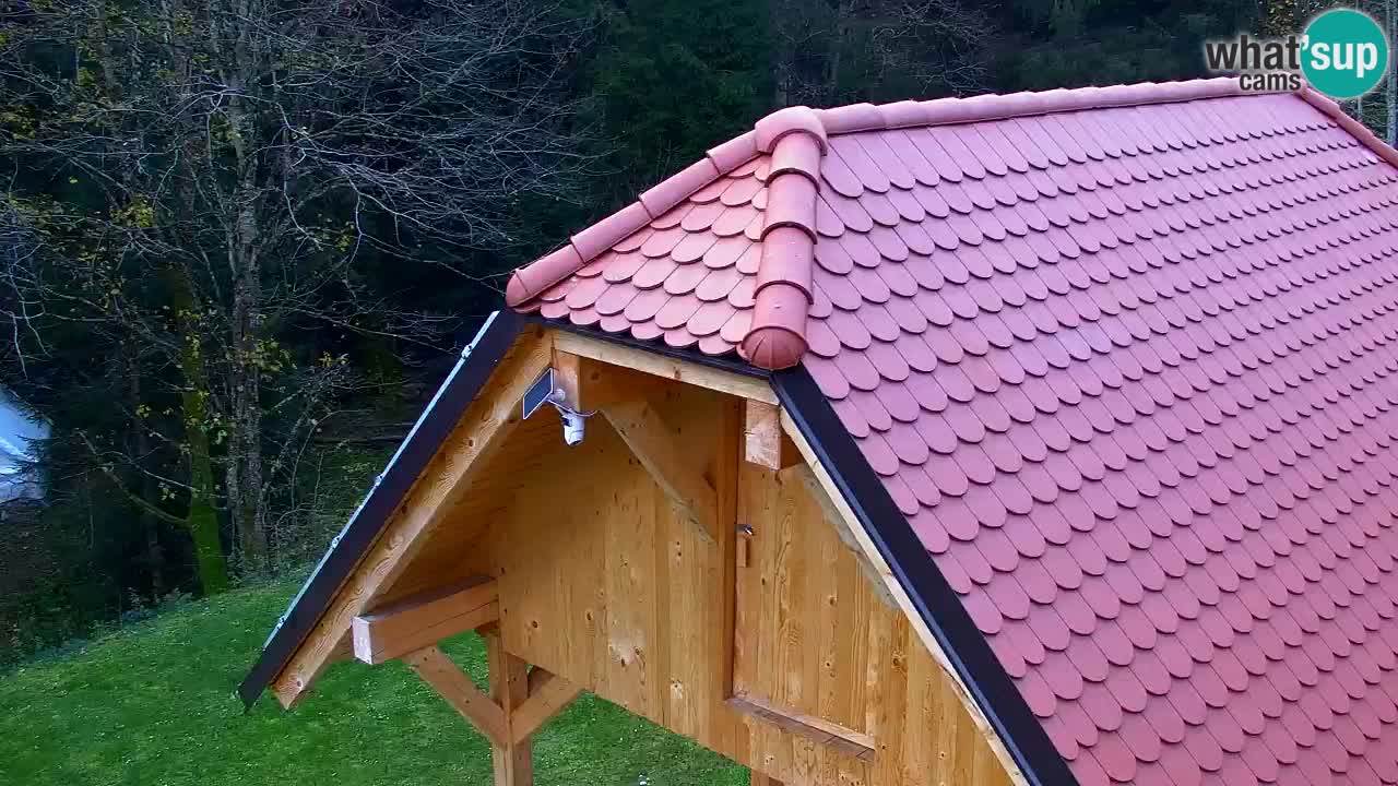 Web kamera Lukanja – Water Village | Pohorje Houses