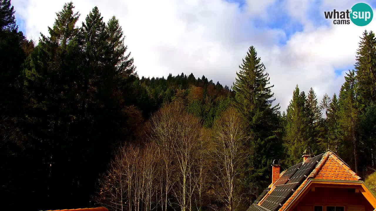 Webcam Lukanja – Water Village | Pohorje Houses