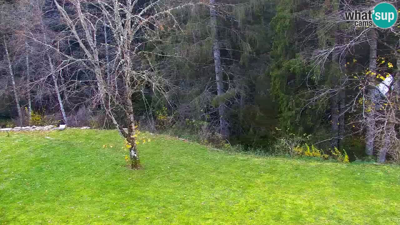 Web kamera Lukanja – Water Village | Pohorje Houses