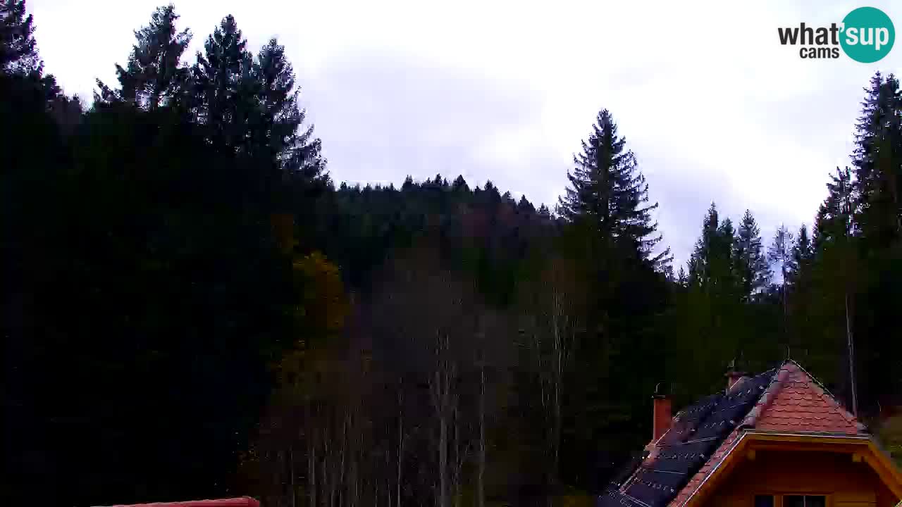 Webcam Lukanja – Pohorje houses a Water village