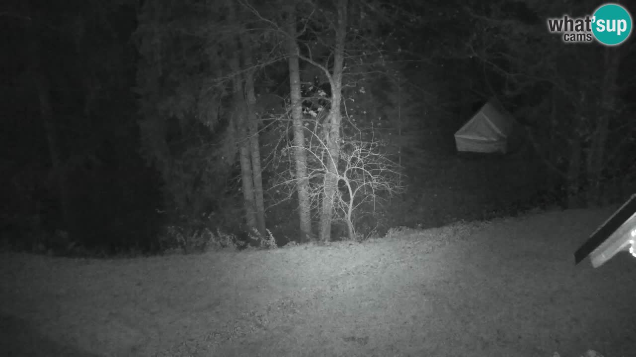 Webcam Lukanja – Pohorje houses a Water village