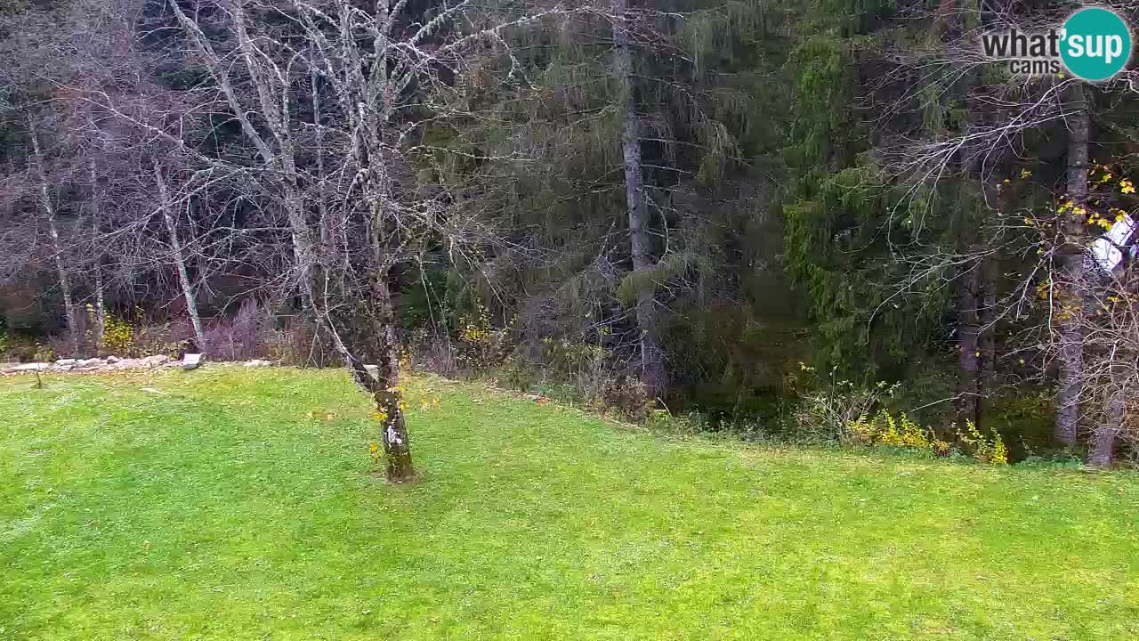 Webcam Lukanja – Water Village | Pohorje Houses