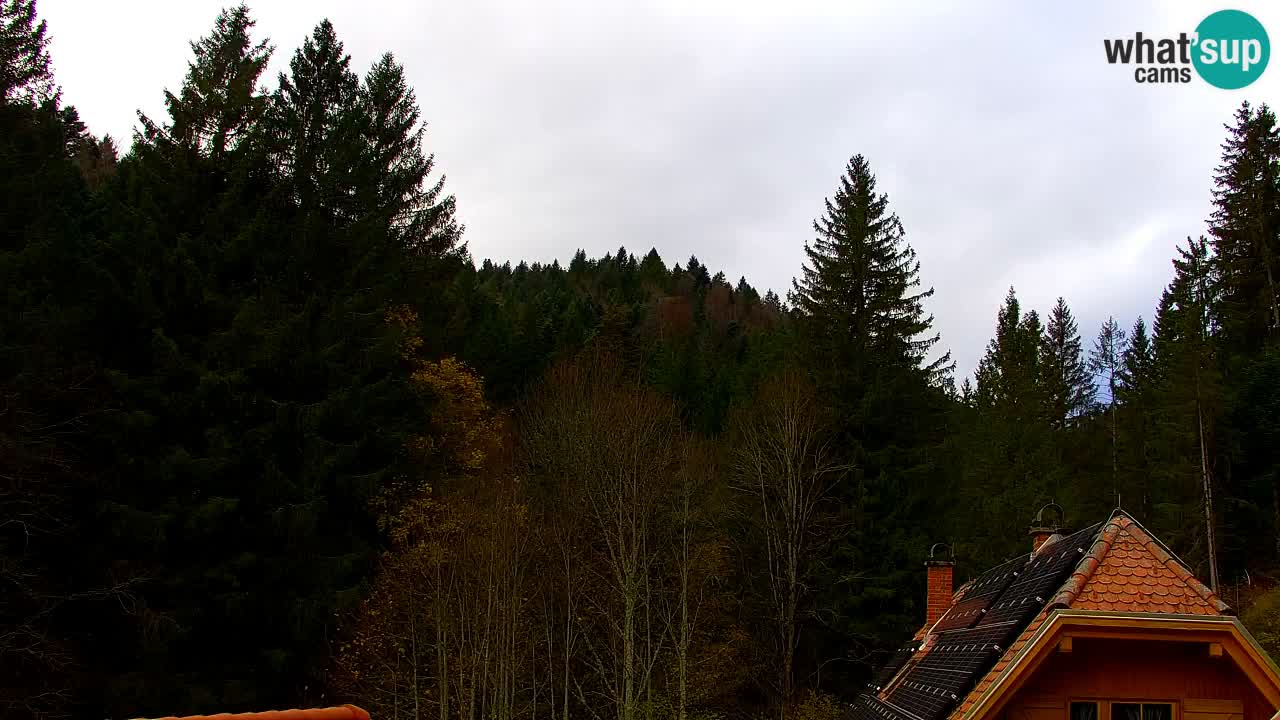 Web kamera Lukanja – Water Village | Pohorje Houses