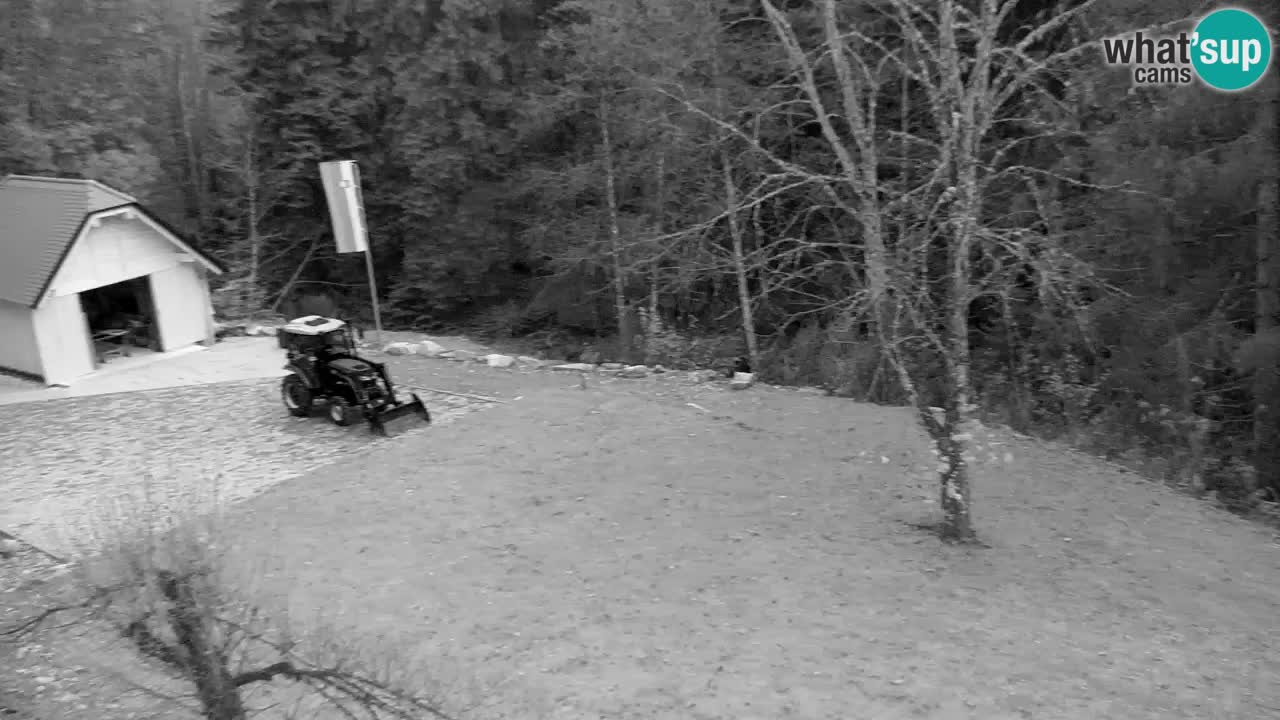 Webcam Lukanja – Pohorje houses a Water village