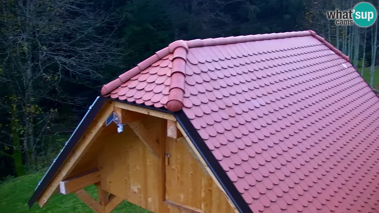 Webcam Lukanja – Pohorje houses a Water village