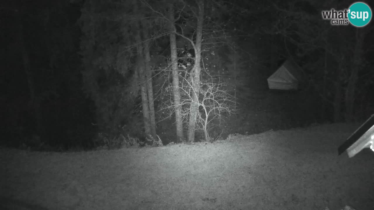 Spletna kamera Lukanja – Water Village | Pohorje Houses