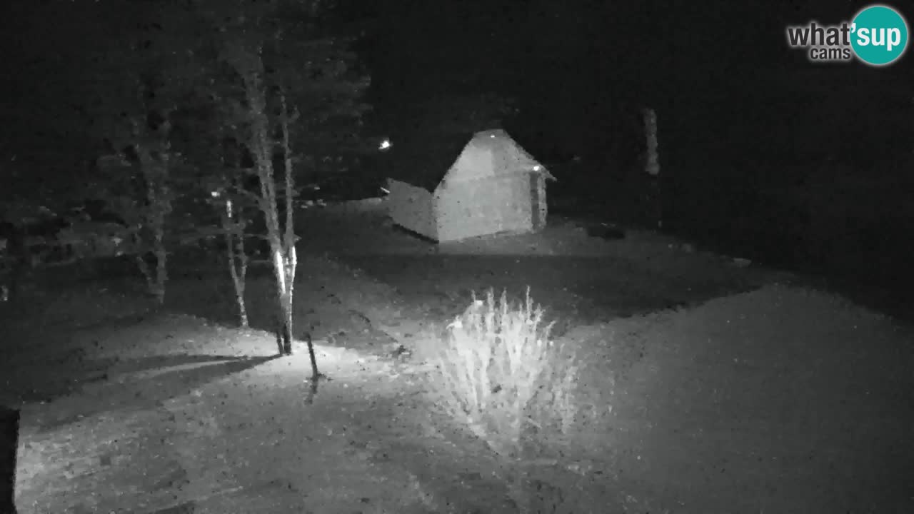 Webcam Lukanja – Water Village | Pohorje Houses