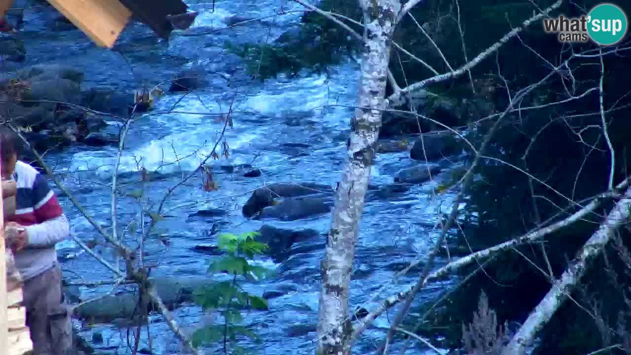 Webcam Lukanja – Water Village | Pohorje Houses