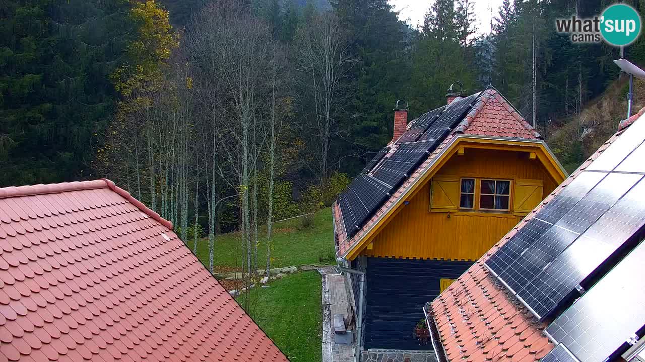 Webcam Lukanja – Pohorje houses a Water village