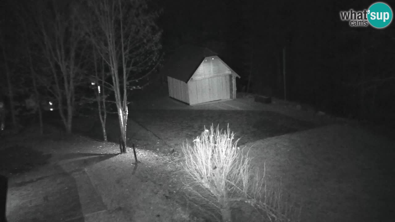 Webcam Lukanja – Water Village | Pohorje Houses