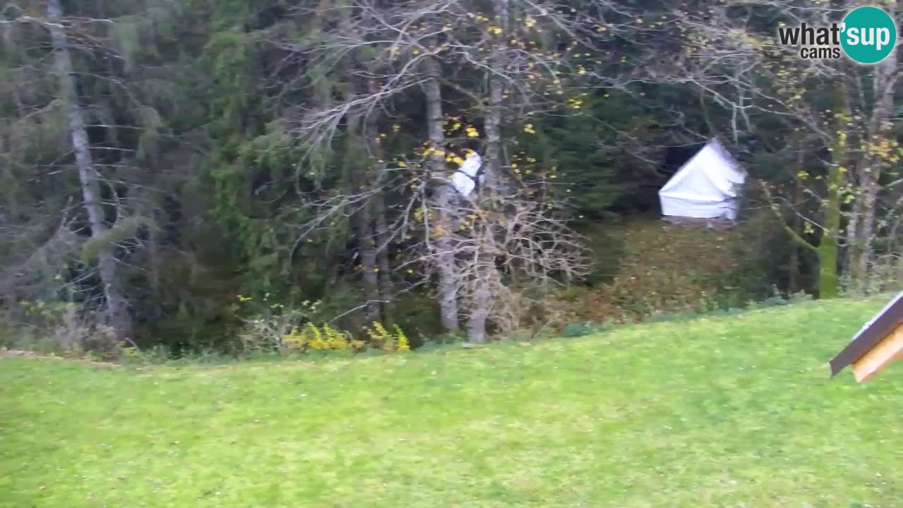 Webcam Lukanja – Water Village | Pohorje Houses