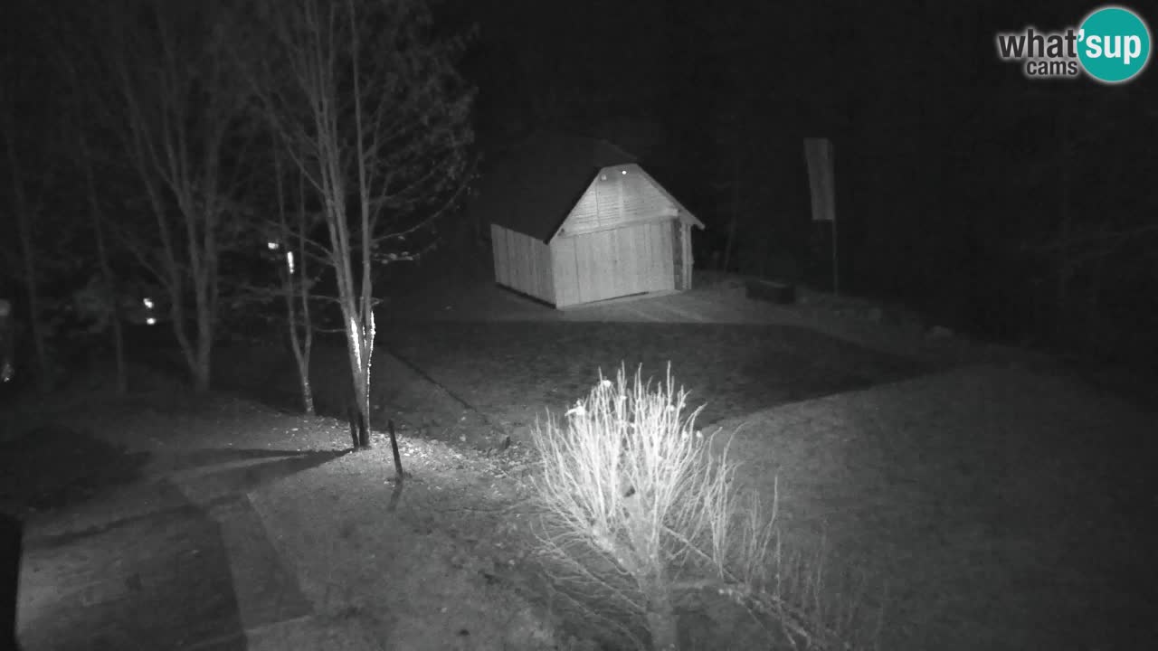 Webcam Lukanja – Pohorje houses a Water village