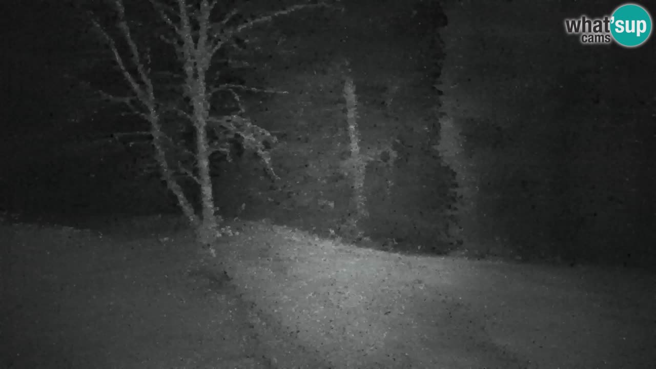 Webcam Lukanja – Water Village | Pohorje Houses