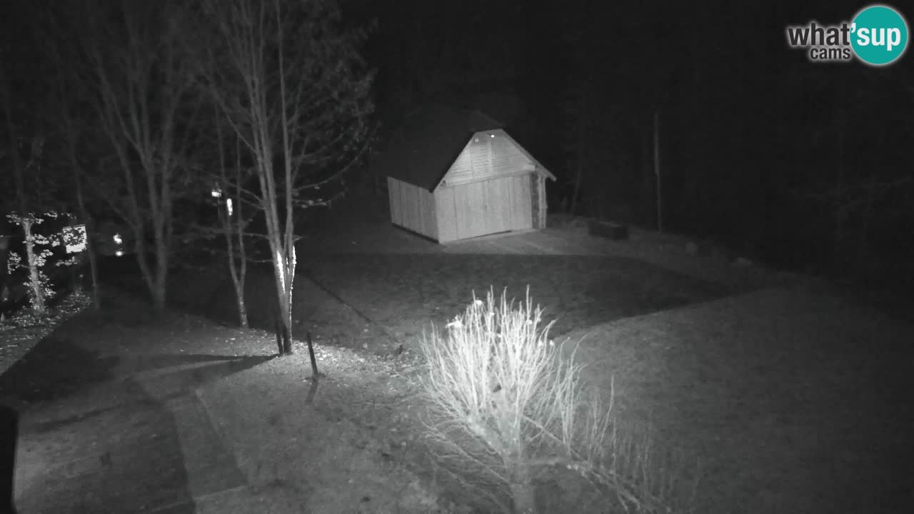 Webcam Lukanja – Water Village | Pohorje Houses