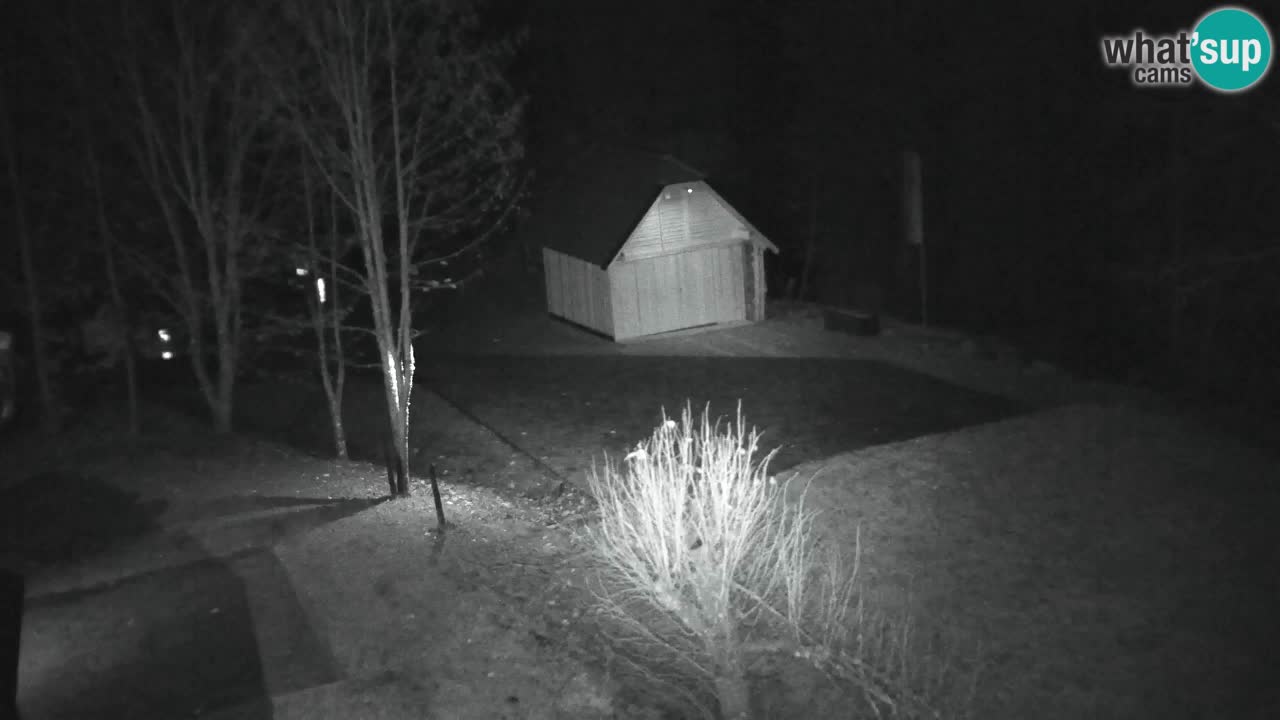 Webcam Lukanja – Water Village | Pohorje Houses