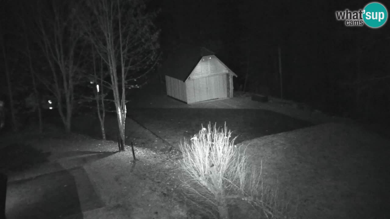 Webcam Lukanja – Water Village | Pohorje Houses