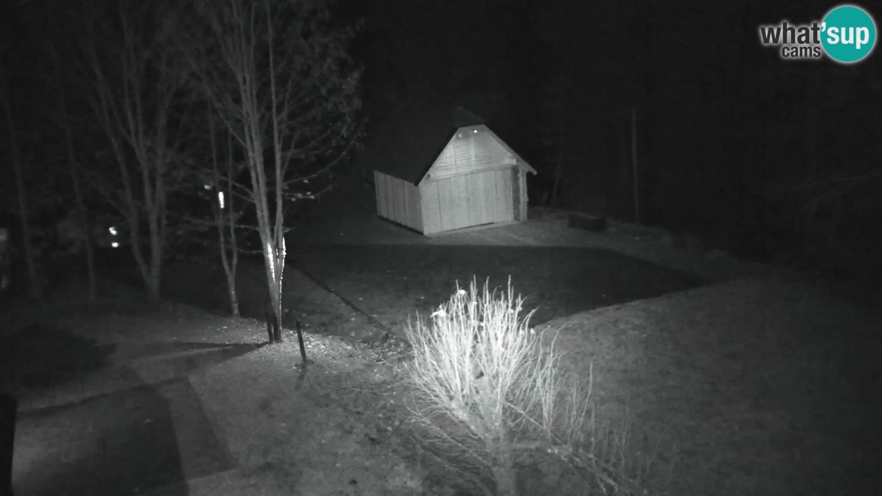 Webcam Lukanja – Pohorje houses a Water village