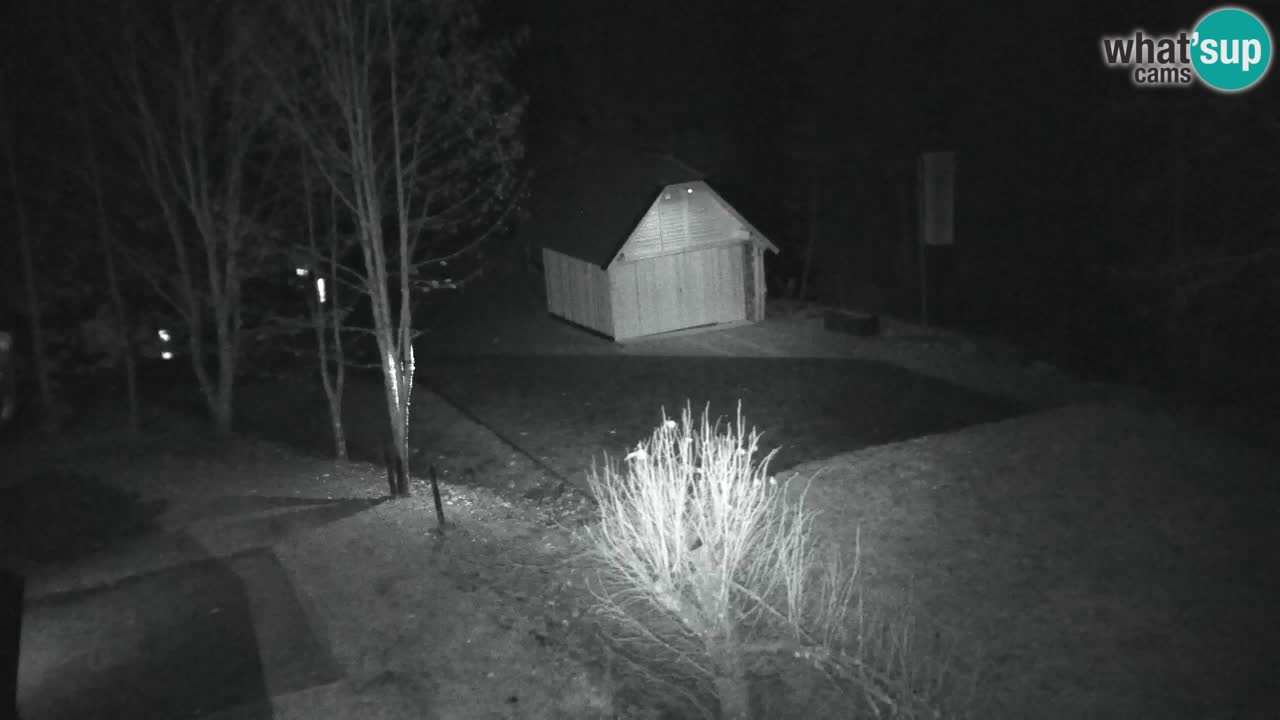 Webcam Lukanja – Water Village | Pohorje Houses